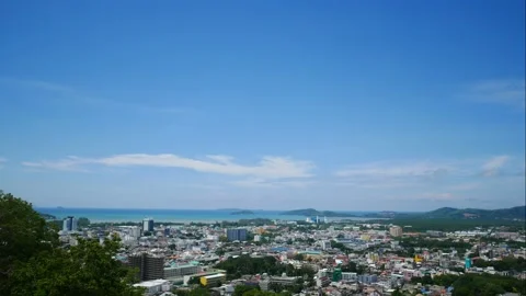 Time lapse moving branch leaves tree,white cloud with beautiful blue sky back Stock Footage 130577190
