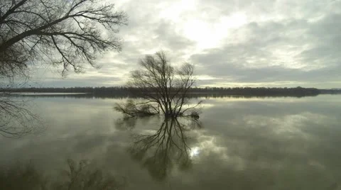 Time lapse moving clouds and tree is in the river. Vidéo 46719048