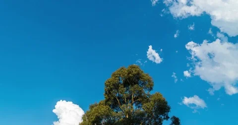 Time lapse of moving clouds and blue sky 動画素材 82303338