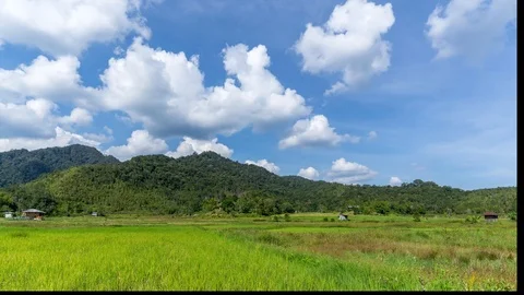 Time lapse of moving clouds and organic paddy fields at Bario Stock Footage 86015207
