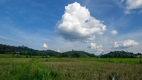 Time lapse of moving clouds and organic paddy fields at Bario Stock Footage 86067003