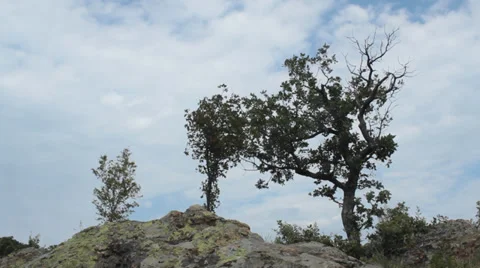 Time Lapse with moving clouds Stock Footage 31860407