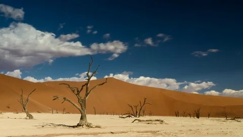 Time lapse - Moving clouds over the famous Dead Vlei Vídeo Stock 74008260