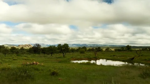 Time lapse - Moving clouds over the namibian savannah near Windhoek Vídeo Stock 74261299
