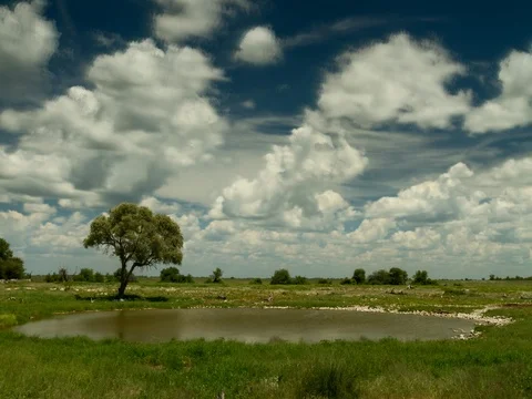 Time lapse - Moving clouds over a waterhole at Etosha National Park Vídeo Stock 74292097