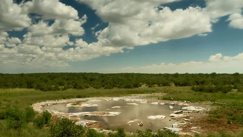 Time lapse - Moving clouds over a waterhole at Etosha National Park Vídeo Stock 74776364