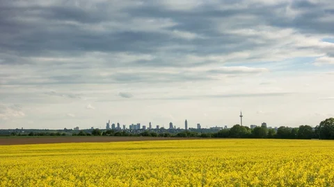 Time lapse - Moving clouds over a canola field Видео 129608293