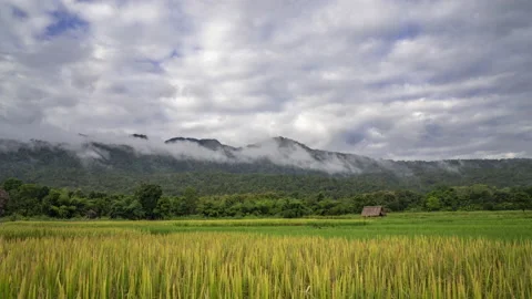 Time lapse of moving clouds over mountains and rice paddy field Stock Footage 218275816