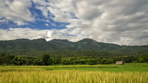 Time lapse of moving clouds over mountains and rice paddy field Stock Footage 218280507