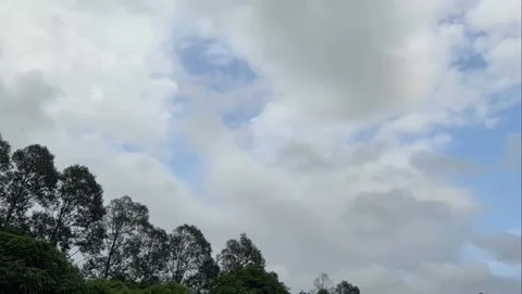 Time-Lapse of Moving Clouds Over Tree Line Stock Footage 340869023