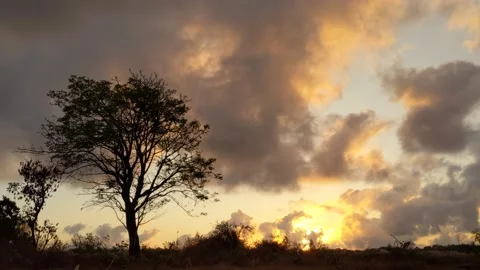Time lapse of moving clouds at sunrise Vídeos de archivo 212946553