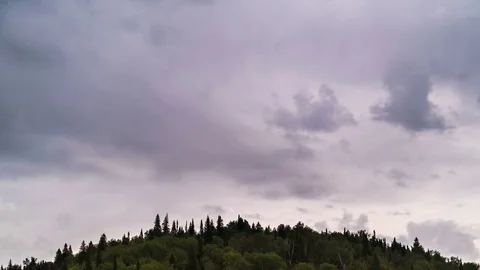 Time lapse of moving gray clouds under over firs tops of mountain forest Stock Footage 75835139