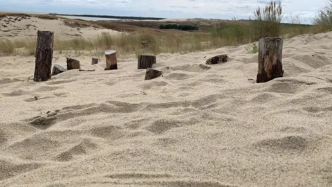 Time lapse of moving sand and grass on sand dunes. Nida, Lithuania Stock Footage 205129144