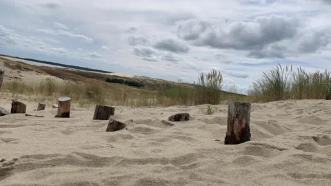 Time lapse of moving sand and grass on sand dunes. Nida, Lithuania Stock Footage 205129158