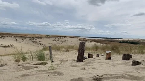 Time lapse of moving sand and grass on sand dunes. Nida, Lithuania Stock Footage 205129160