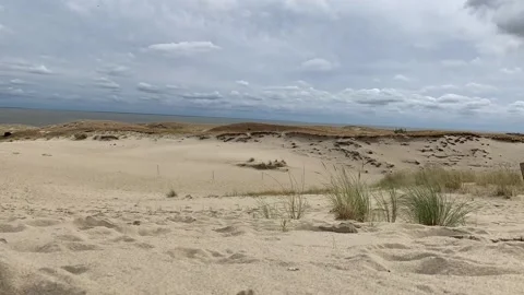 Time lapse of moving sand and grass on sand dunes. Nida, Lithuania Stock Footage 210142011