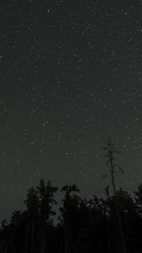 Time lapse of moving stars over a forest Stock Footage 276094789
