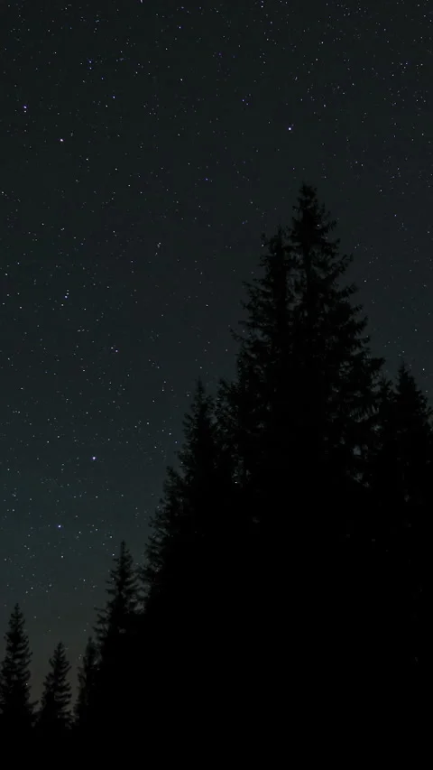 Time lapse of moving stars over a forest Stock Footage 313486797