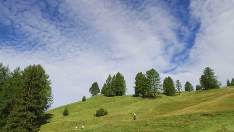 Time lapse of a mower, mowing in the high mountain Stock Footage 79722213