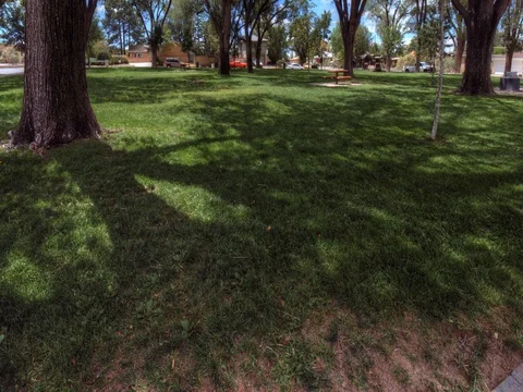 Time-Lapse Mowing Fox Park Albuquerque Stock Footage 79733757