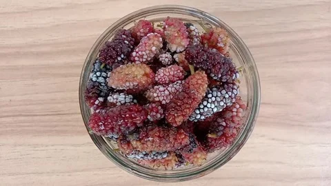Time lapse of mulberry fruit changes in frozen glass. Video stock 289395827