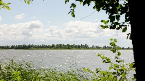 Time lapse of nature. Cloudy sky, leaves, trees sway in the wind 스톡 동영상 73845963