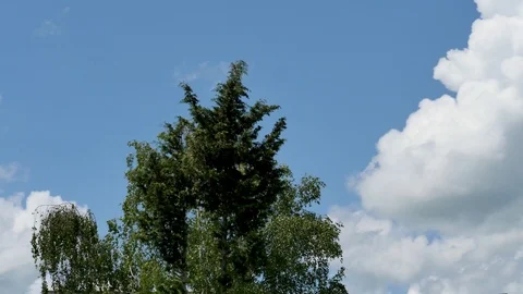 Time lapse in nature, cloudy sky. Stock Footage 124710361