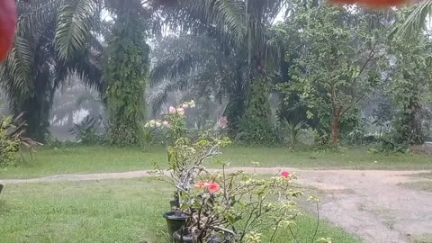 Time lapse nature the rain's Stock Footage 220278990