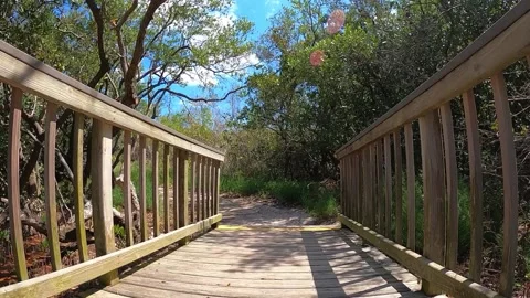 Time-lapse of the nature trail! Stock Footage 154612774