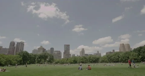 A time lapse of New York Central park with many people relaxing and having fun Stock Footage 150873732