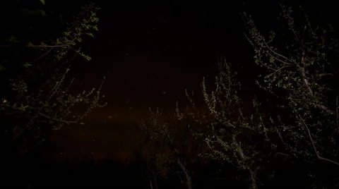 Time lapse of night and day Stock Footage 50176554