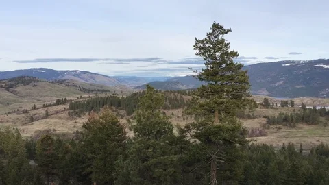 Time-lapse to night of broad valley with trees and mountains in b/g Stock Footage 88480510