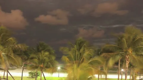 Time lapse Night Clouds roll over the Miami palm trees and the ocean Vídeo Stock 10562985