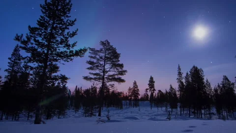 TIME LAPSE - Night to day with the aurora borealis in a forest, Finland, Stock Footage 154737437