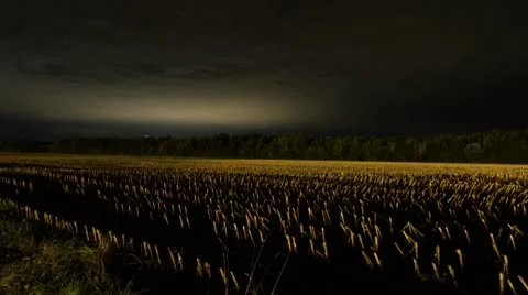 Time lapse night scene of field with reflection of city lights on the clouds Video stock 8839698