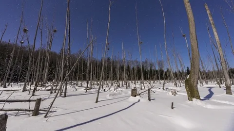 Time lapse at night of shadows moving across snow Stock-Footage 85095497