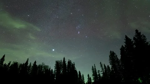 Time lapse of the night sky above a forest landscape. Stock Footage 262460747