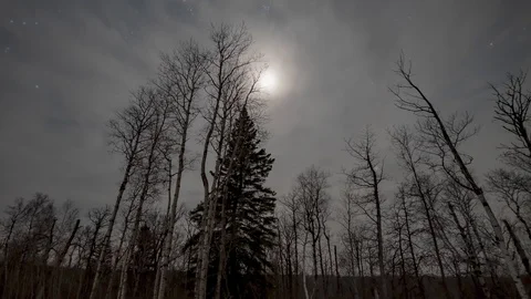 Time lapse of the night sky with blowing clouds and a bright moon.  Stock Footage 125583450