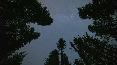 Time Lapse Of The Night Sky. 库存影片 220689284