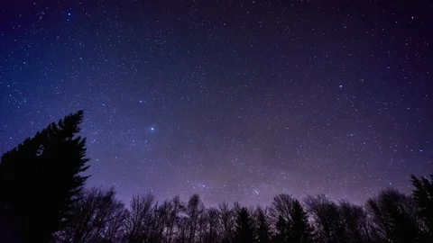 Time lapse of a night sky full of stars over the trees in the forest, Видео 173178594