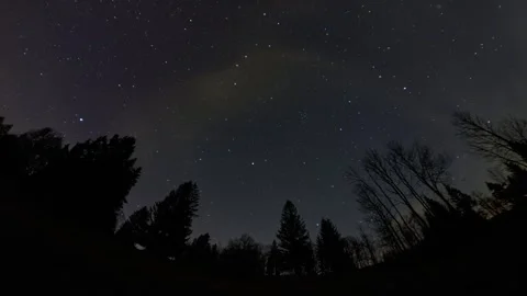 Time-lapse night sky over forest silhouette with starry sky and clouds appearing Stock-Footage 310724280