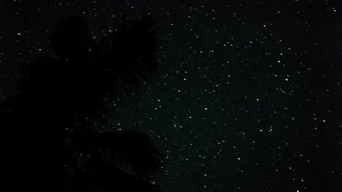 Time lapse of night star trail with palm tree 動画素材 70143045