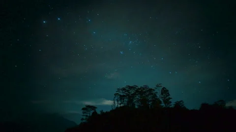 Time lapse of night starry sky, trees. Milky way, Galaxy, clouds, shining stars Stock Footage 141333754
