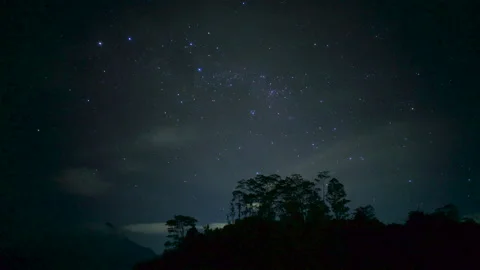 Time lapse of night starry sky in forest. Milky way trees passing clouds galaxy Stock Footage 141333755