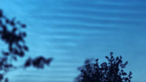Time lapse noctilucent clouds and tree silhouette. Noctilucent cloud time lapse. Stock Footage 158769114