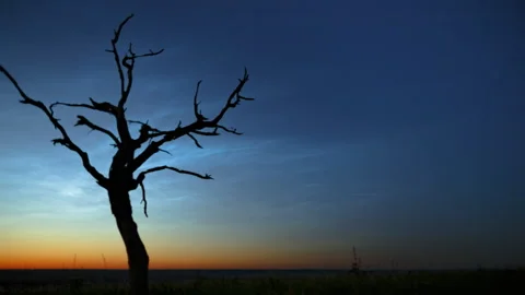 Time lapse of noctilucent clouds or night shining clouds over a tree. Stock Footage 156523487