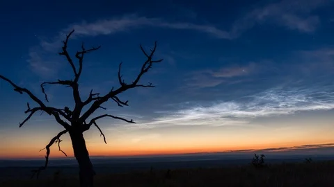 Time lapse of noctilucent clouds over a silhouette of tree. Stock Footage 121418569