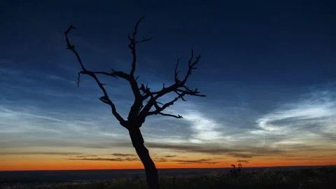 Time lapse noctilucent clouds over a tree. Noctilucent clouds. Stock Footage 159567261