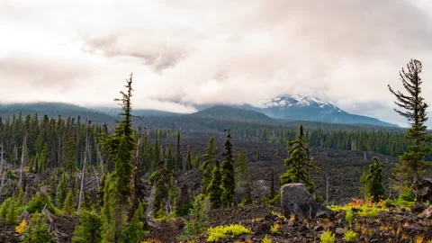 Time lapse of the North Sister enveloped in clouds as seen from McKenzie Pass in Видео 328998558