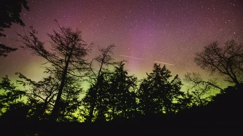 Time lapse of Northern lights dancing across sky silhouetting black trees Video stock 76921332